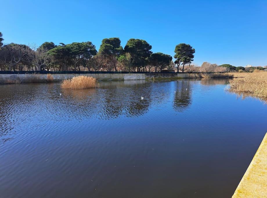 Apartamento A 50 Metros De La Playa. Platja d'Aro Exteriör bild
